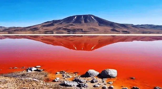 uyuni lagoon red